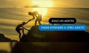 Nuevos artículos de compartir de miembros